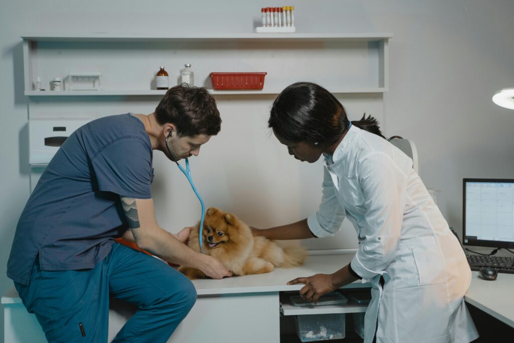 Best Pets Clinic in Lahore